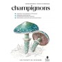 Les carnets du scarabée - Champignons