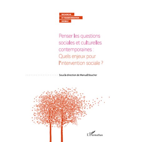 Penser les questions sociales et culturelles contemporaines : quels enjeux pour l'intervention sociale ?
