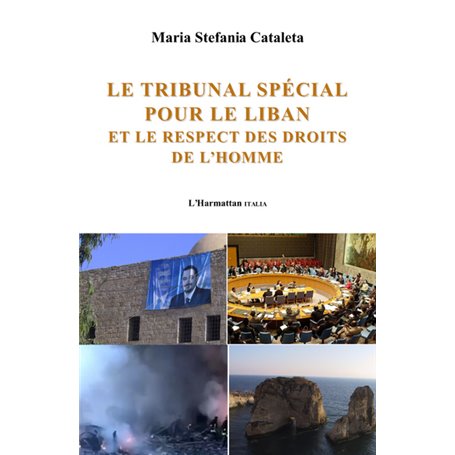Le tribunal spécial pour le Liban et le respect des droits de l'homme