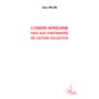 L'Union Africaine face aux contraintes de l'action collective