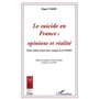 Le Suicide en France