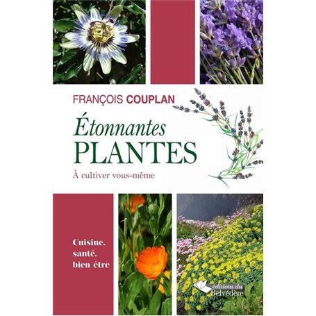 Etonnantes plantes à cultiver vous-même