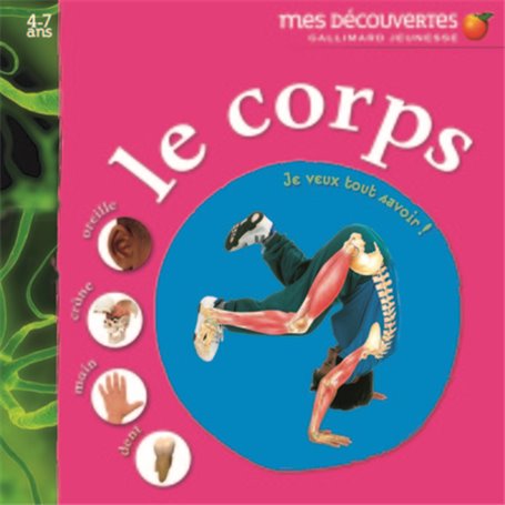 Le corps