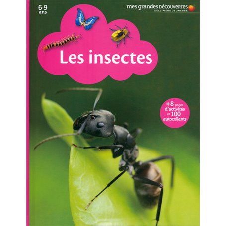 Les insectes