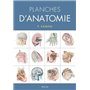 Planches d'anatomie humaine. 31 planches. Reliure a spirale, 3e éd.