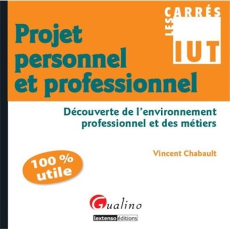 carrés iut projet personnel et professionnel