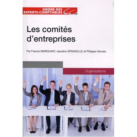 LES COMITES D ENTREPRISE