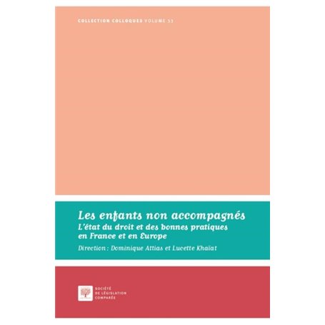 LES ENFANTS NON ACCOMPAGNES