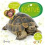 J'aime ma tortue