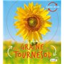 De la graine au tournesol