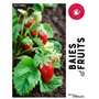 Baies et fruits