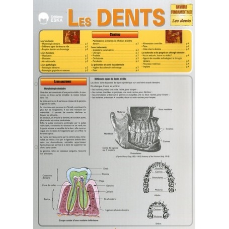 LES DENTS