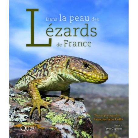 Dans la peau des lézards de France