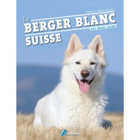 Berger blanc suisse