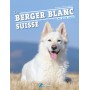 Berger blanc suisse