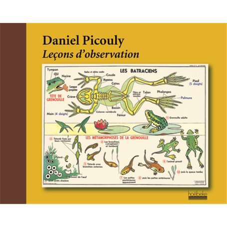 Leçons d'observation