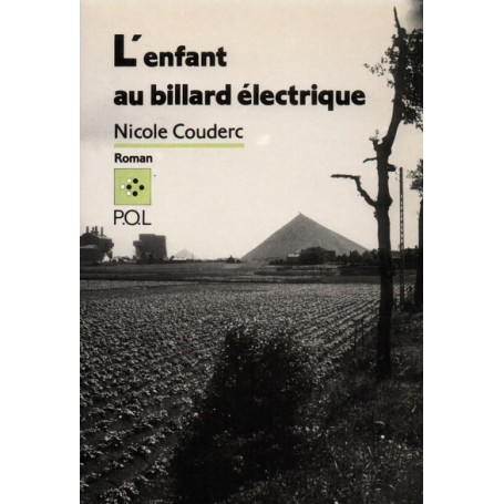 L'Enfant au billard électrique