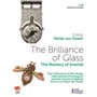 The Brilliance of Glass