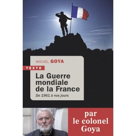 La guerre mondiale de la France