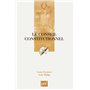 Le Conseil constitutionnel