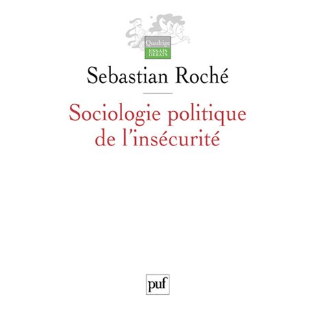 Sociologie politique de l'insécurité