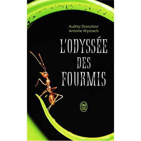 L'odyssée des fourmis