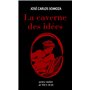 La caverne des idées