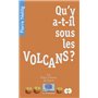 Qu'y a-t-il sous les volcans?