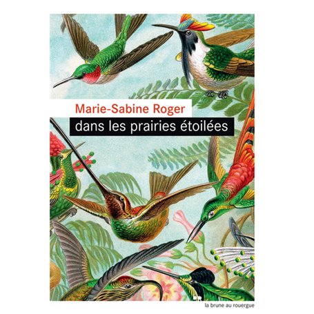Dans les prairies étoilées