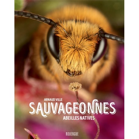 Sauvageonnes