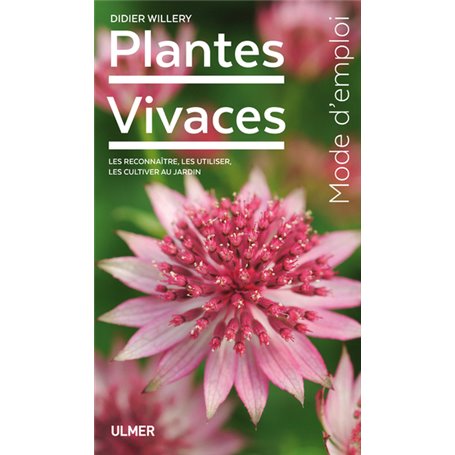 Plantes vivaces