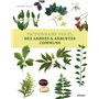 Dictionnaire visuel des arbres et arbustes communs