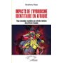 Impacts de l'hybridisme identitaire en Afrique