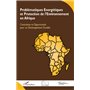 Problématiques Energétiques et Protection de l'Environnement en Afrique
