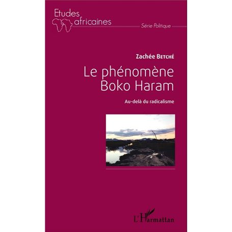 Le phénomène Boko Haram