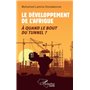 Le développement de l'Afrique