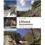 L'Alsace buissonnière, du Rhin aux Vosges
