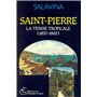 Saint-Pierre, la Venise tropicale (1870-1902)