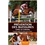 Prévention des blessures chez le cheval