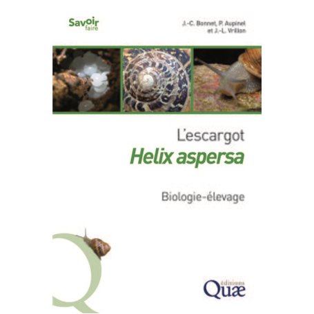 L'escargot Helix aspersa
