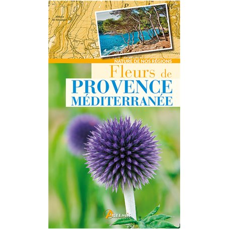 Fleurs de Provence-Méditerranée