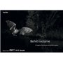 Ballet nocturne
