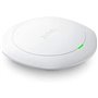 Antenne Wifi ZyXEL WAC6303D-S-EU0101F