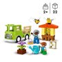 LEGO 10419 DUPLO Ma Ville Prendre Soin des Abeilles et des Ruches. Jou