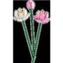 LEGO 40647 Creator Les Fleurs de Lotus. Kit de Construction pour Fille