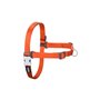 Harnais pour Chien Red Dingo 42-59 cm Orange S/M