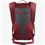 Sac de sport Salomon LC2059500 Rouge Rouge intense Taille unique 10 L