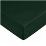 Drap housse Harry Potter Vert 180 x 200 cm