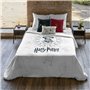Housse de Couette Harry Potter Dormiens Draco 155 x 220 cm Lit 1 perso