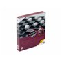 Backgammon Cayro Magnétique Jeu d'Échecs Jeu de Dames